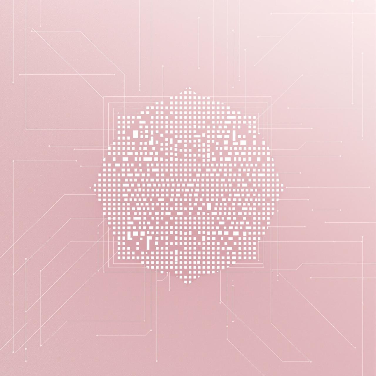 91官APP下载二维码